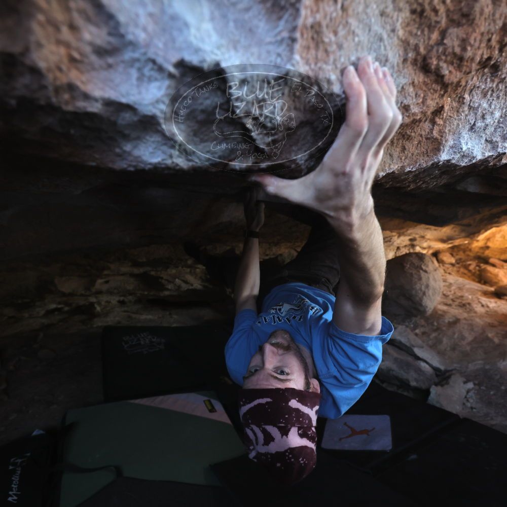 

Filename: SRM_20251124_1233070.jpg
Aperture: f/4.0
Shutter Speed: 1/400
Body: Canon EOS R6
Lens: Canon EF 16-35mm f/2.8 L