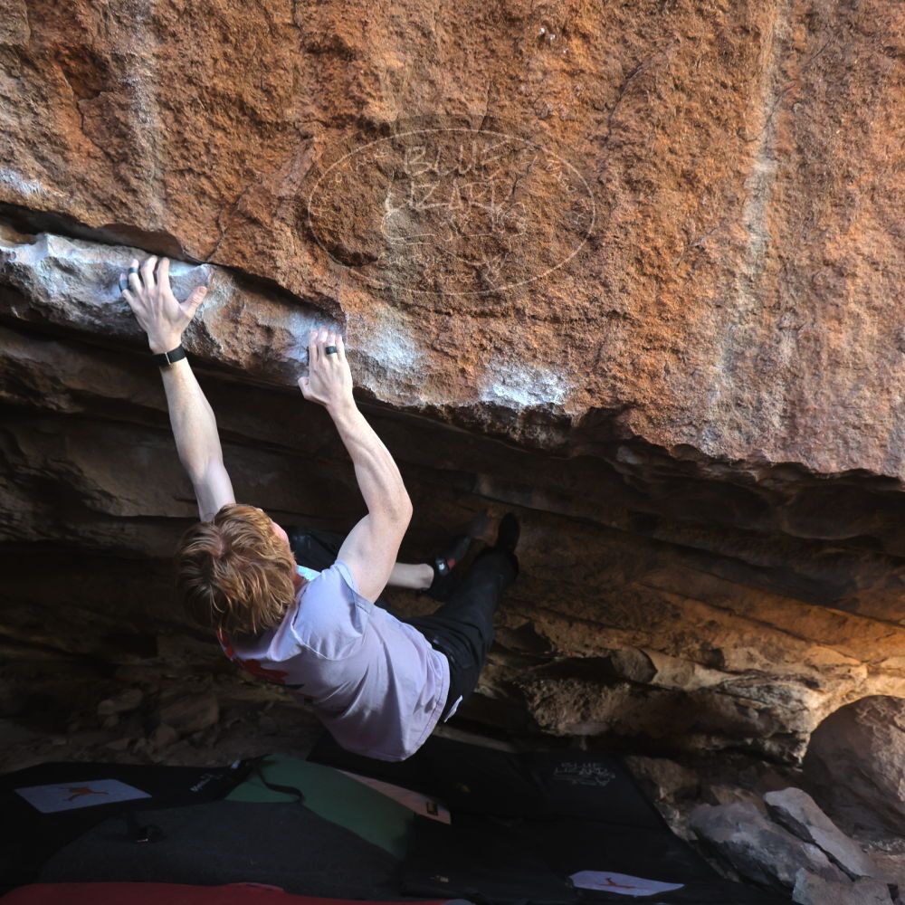 

Filename: SRM_20251124_1242590.jpg
Aperture: f/4.0
Shutter Speed: 1/400
Body: Canon EOS R6
Lens: Canon EF 16-35mm f/2.8 L