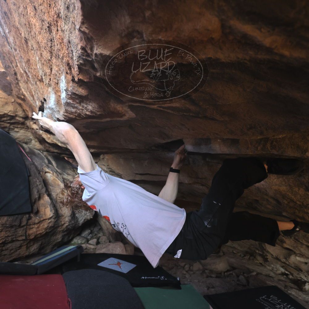 

Filename: SRM_20251124_1300130.jpg
Aperture: f/4.0
Shutter Speed: 1/400
Body: Canon EOS R6
Lens: Canon EF 16-35mm f/2.8 L