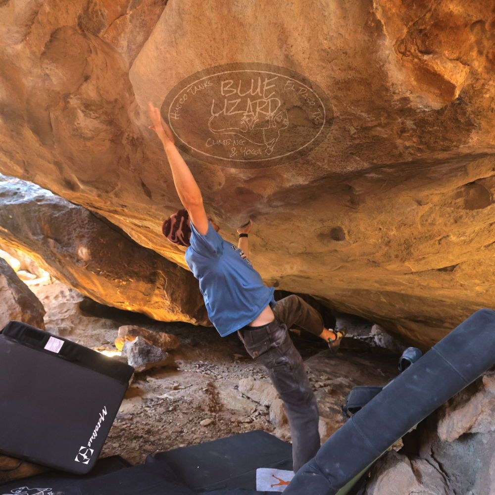 

Filename: SRM_20251124_1334040.jpg
Aperture: f/4.0
Shutter Speed: 1/400
Body: Canon EOS R6
Lens: Canon EF 16-35mm f/2.8 L