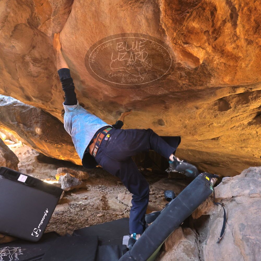 

Filename: SRM_20251124_1336360.jpg
Aperture: f/4.0
Shutter Speed: 1/400
Body: Canon EOS R6
Lens: Canon EF 16-35mm f/2.8 L