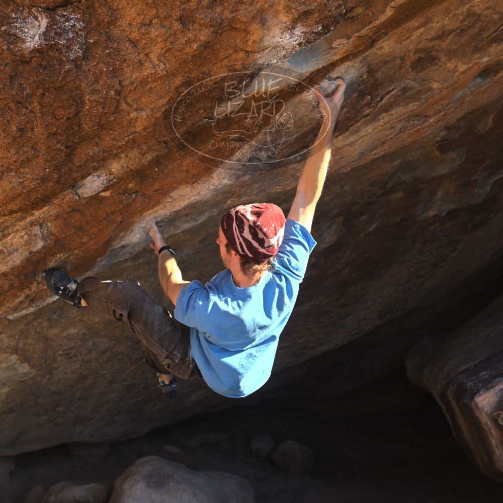 

Filename: SRM_20251124_1446260.jpg
Aperture: f/4.0
Shutter Speed: 1/500
Body: Canon EOS R6
Lens: Canon EF 16-35mm f/2.8 L