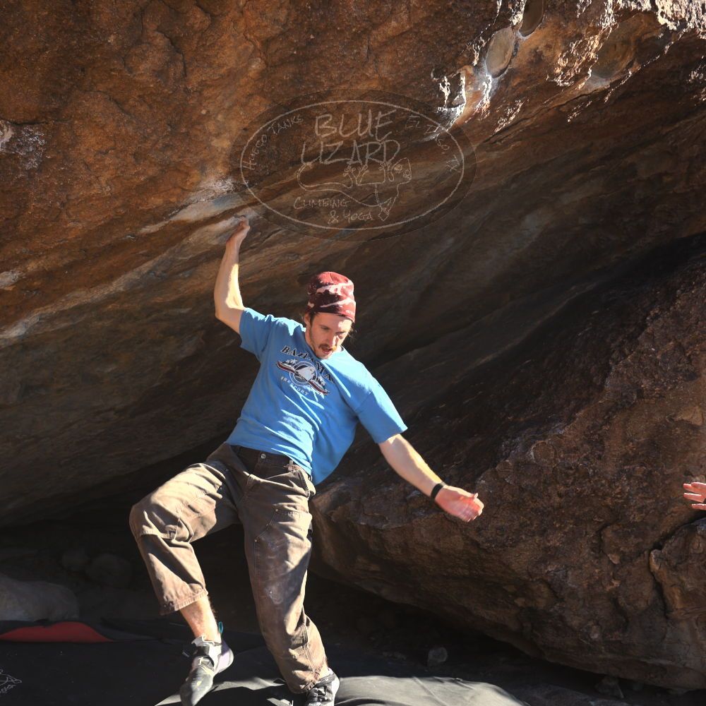 

Filename: SRM_20251124_1446352.jpg
Aperture: f/4.0
Shutter Speed: 1/500
Body: Canon EOS R6
Lens: Canon EF 16-35mm f/2.8 L