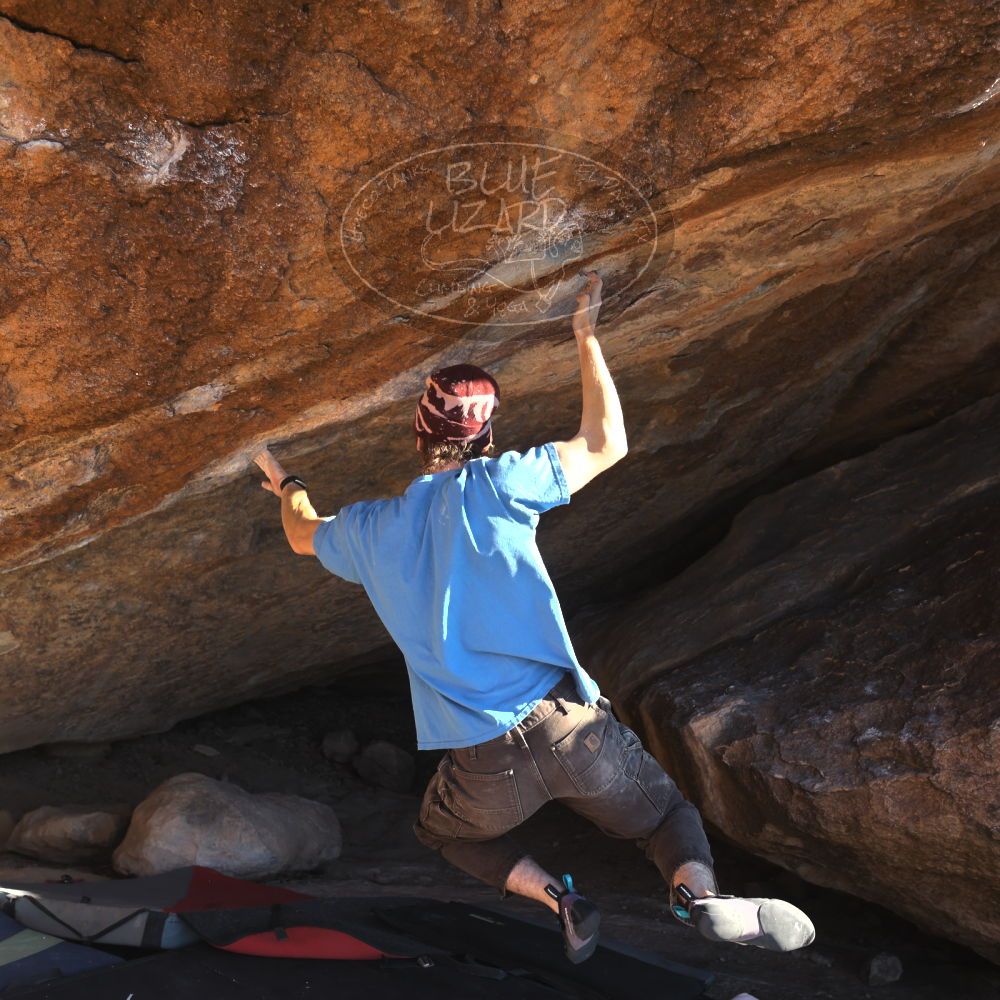 

Filename: SRM_20251124_1450140.jpg
Aperture: f/4.0
Shutter Speed: 1/500
Body: Canon EOS R6
Lens: Canon EF 16-35mm f/2.8 L