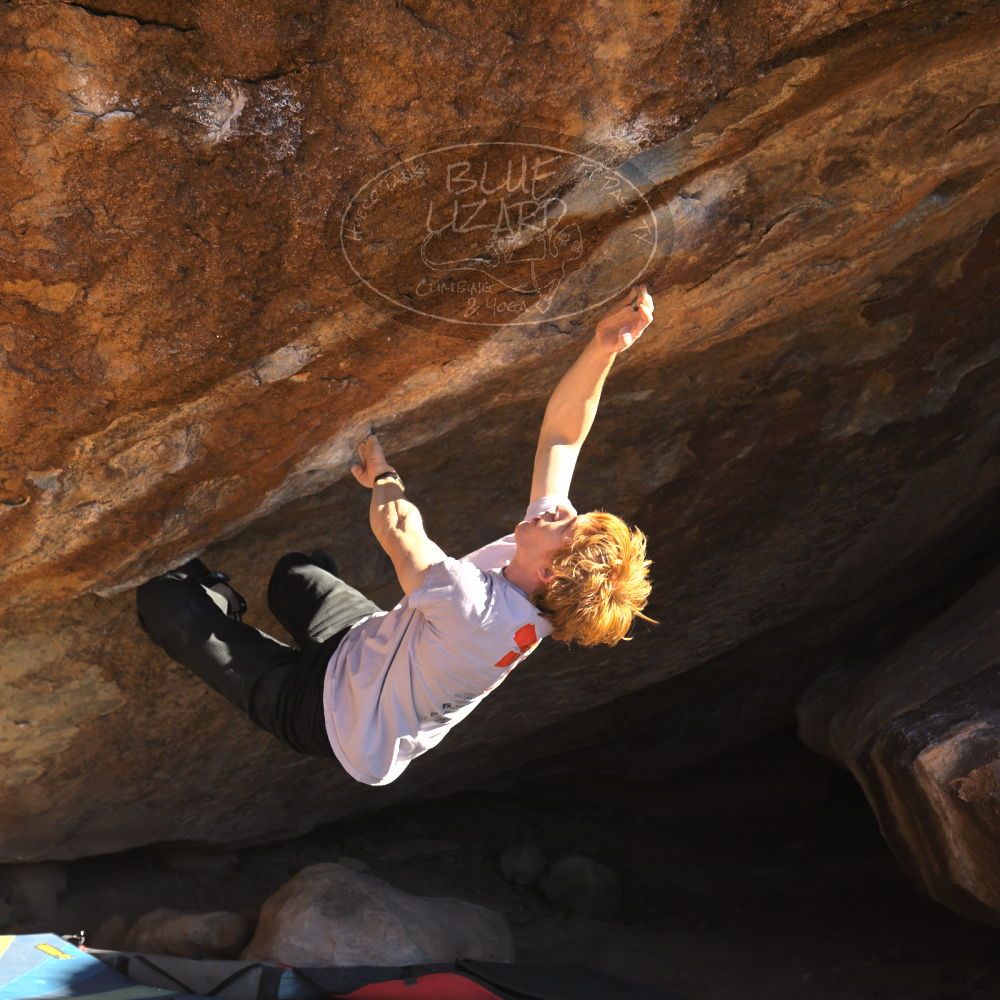 

Filename: SRM_20251124_1452350.jpg
Aperture: f/4.0
Shutter Speed: 1/500
Body: Canon EOS R6
Lens: Canon EF 16-35mm f/2.8 L