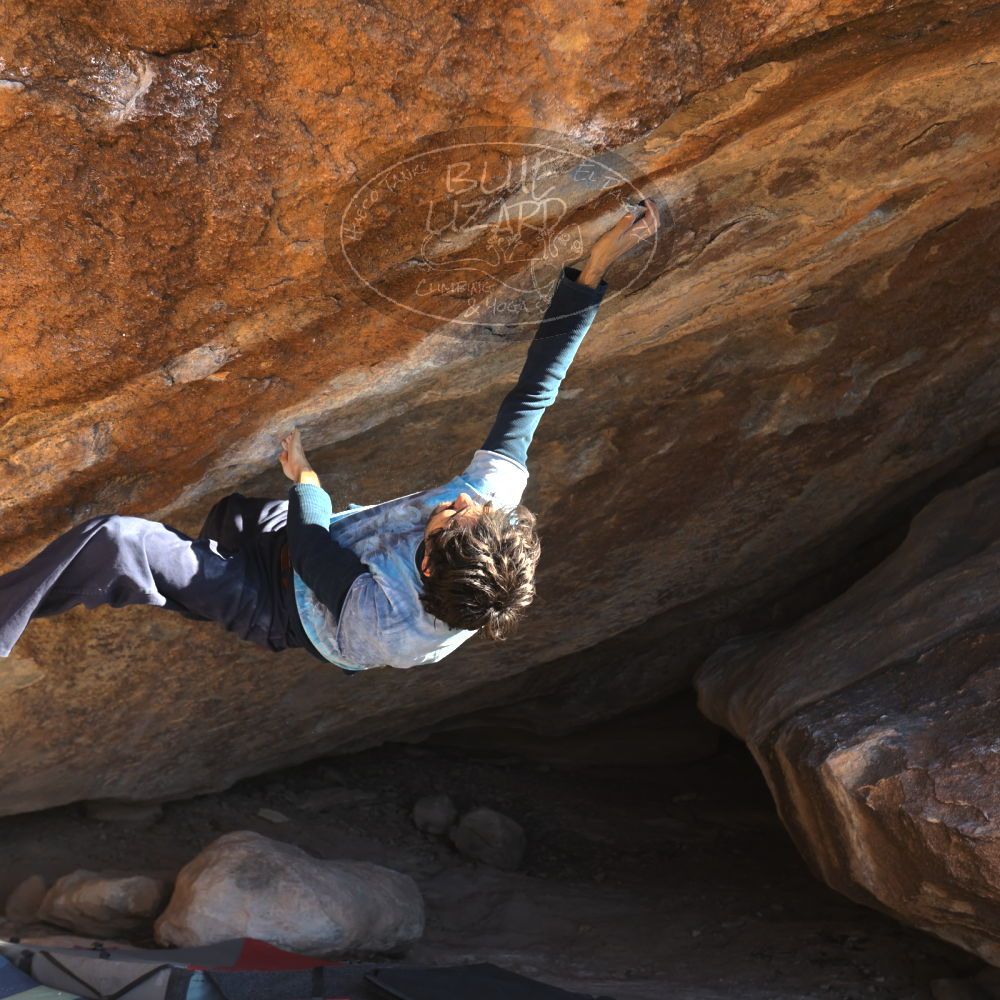 

Filename: SRM_20251124_1453300.jpg
Aperture: f/4.0
Shutter Speed: 1/500
Body: Canon EOS R6
Lens: Canon EF 16-35mm f/2.8 L