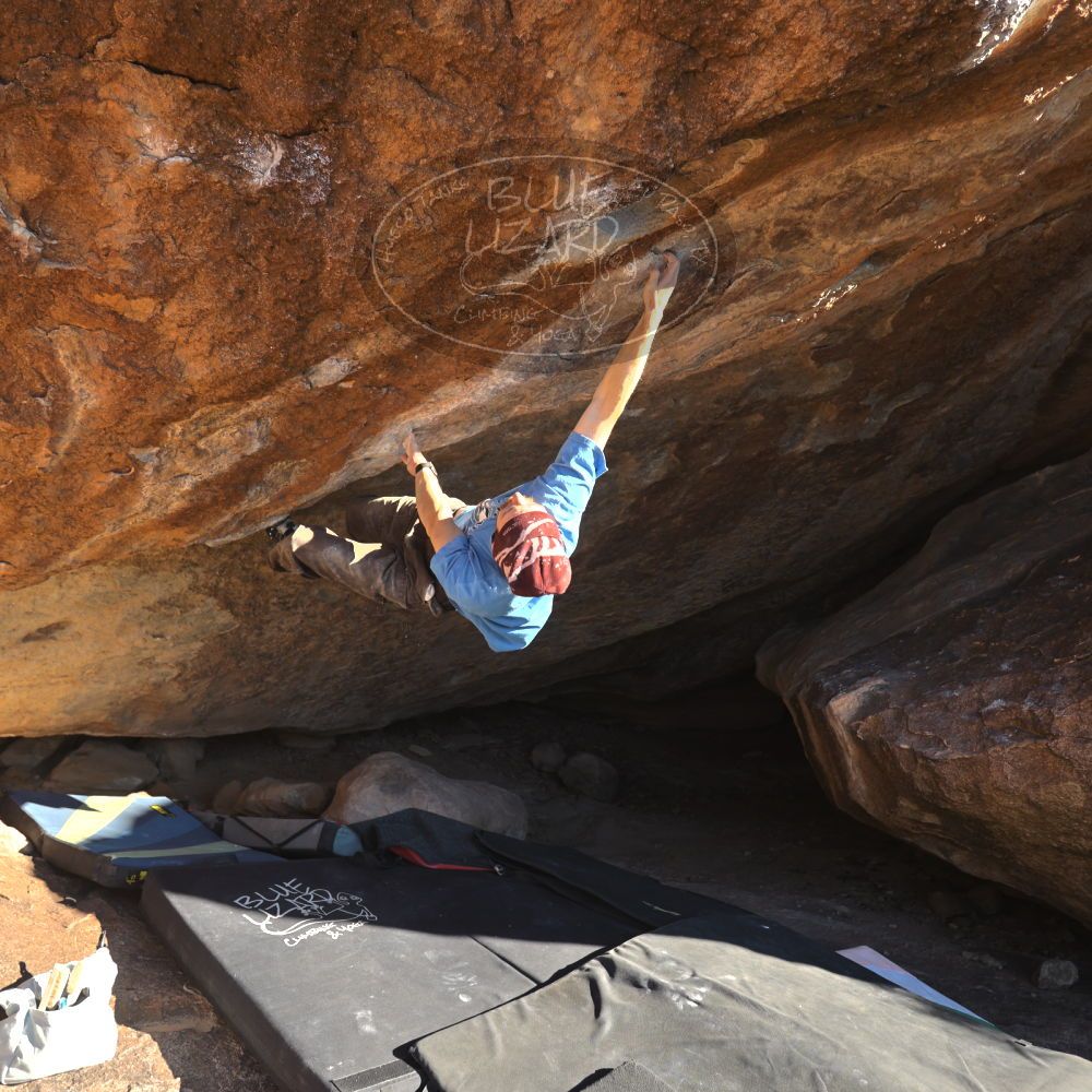 

Filename: SRM_20251124_1457590.jpg
Aperture: f/4.0
Shutter Speed: 1/500
Body: Canon EOS R6
Lens: Canon EF 16-35mm f/2.8 L