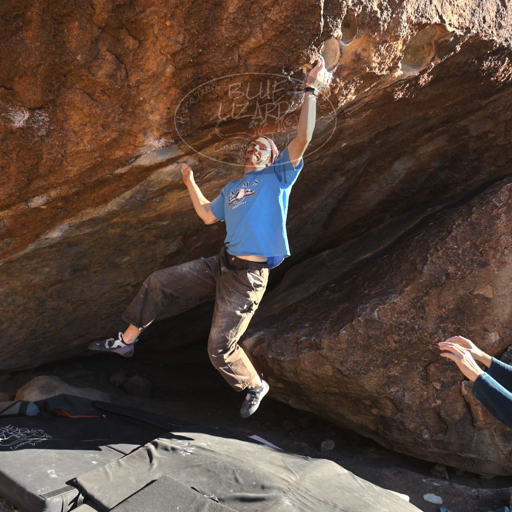 

Filename: SRM_20251124_1458104.jpg
Aperture: f/4.0
Shutter Speed: 1/500
Body: Canon EOS R6
Lens: Canon EF 16-35mm f/2.8 L