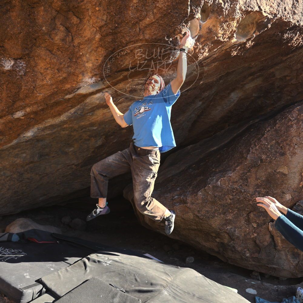 

Filename: SRM_20251124_1458105.jpg
Aperture: f/4.0
Shutter Speed: 1/500
Body: Canon EOS R6
Lens: Canon EF 16-35mm f/2.8 L