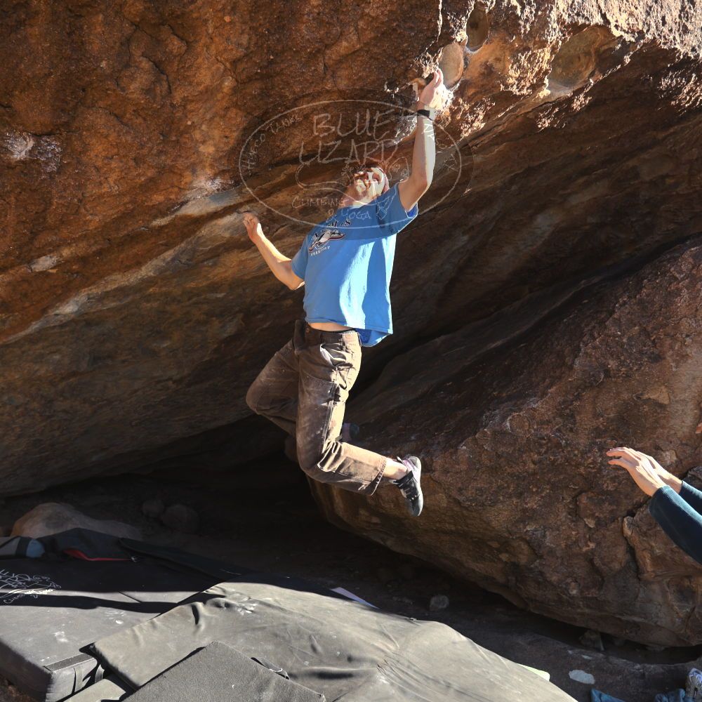 

Filename: SRM_20251124_1458112.jpg
Aperture: f/4.0
Shutter Speed: 1/500
Body: Canon EOS R6
Lens: Canon EF 16-35mm f/2.8 L