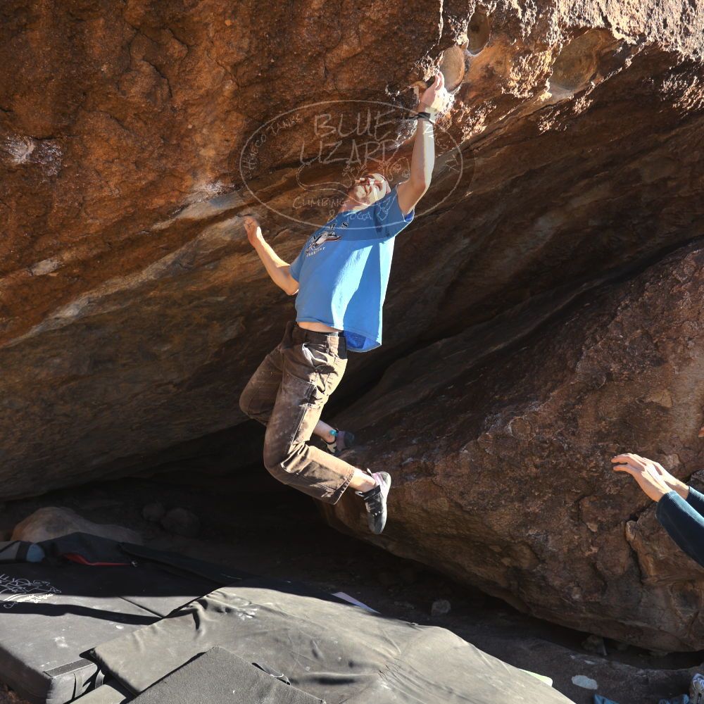 

Filename: SRM_20251124_1458113.jpg
Aperture: f/4.0
Shutter Speed: 1/500
Body: Canon EOS R6
Lens: Canon EF 16-35mm f/2.8 L