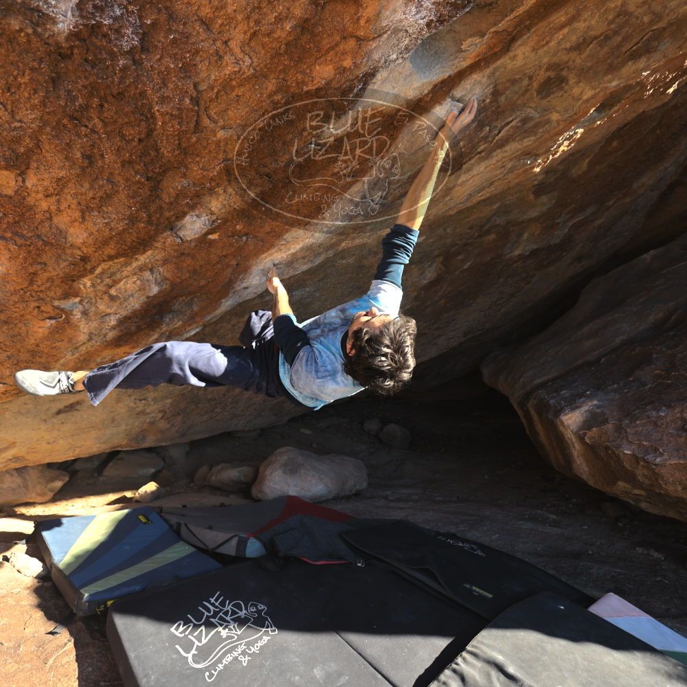 

Filename: SRM_20251124_1500590.jpg
Aperture: f/4.0
Shutter Speed: 1/500
Body: Canon EOS R6
Lens: Canon EF 16-35mm f/2.8 L