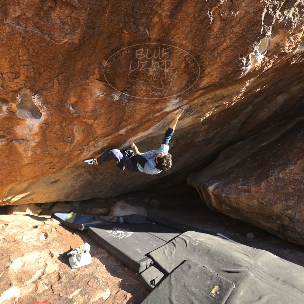 

Filename: SRM_20251124_1503270.jpg
Aperture: f/4.0
Shutter Speed: 1/500
Body: Canon EOS R6
Lens: Canon EF 16-35mm f/2.8 L