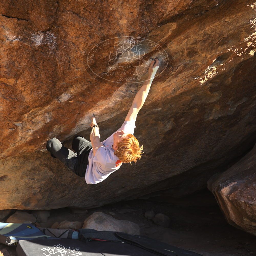 

Filename: SRM_20251124_1504520.jpg
Aperture: f/4.0
Shutter Speed: 1/500
Body: Canon EOS R6
Lens: Canon EF 16-35mm f/2.8 L