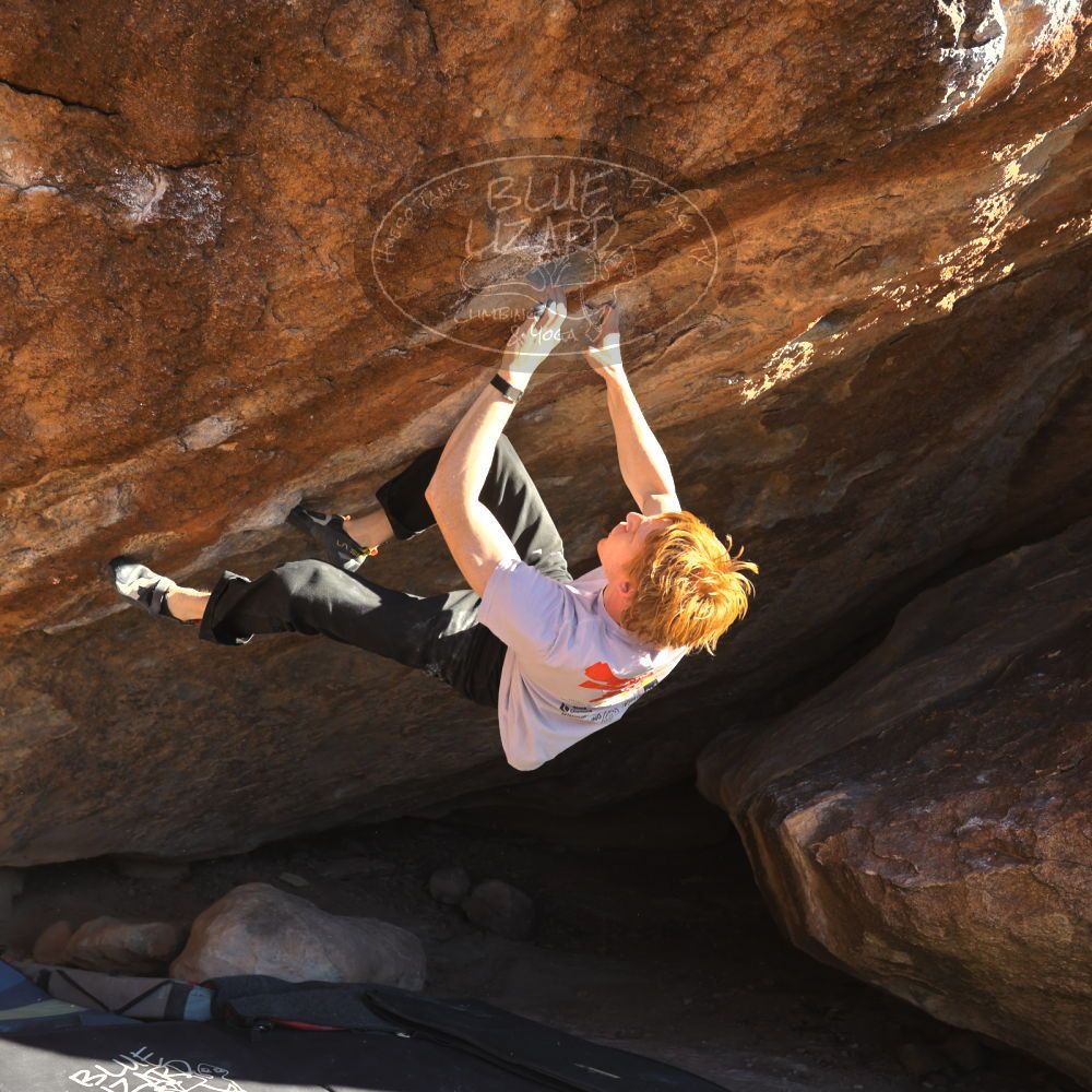 

Filename: SRM_20251124_1504570.jpg
Aperture: f/4.0
Shutter Speed: 1/500
Body: Canon EOS R6
Lens: Canon EF 16-35mm f/2.8 L