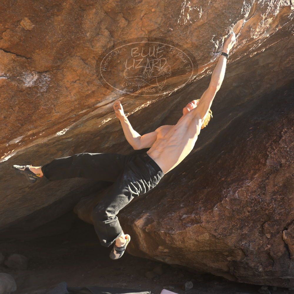 

Filename: SRM_20251124_1515460.jpg
Aperture: f/4.0
Shutter Speed: 1/500
Body: Canon EOS R6
Lens: Canon EF 16-35mm f/2.8 L