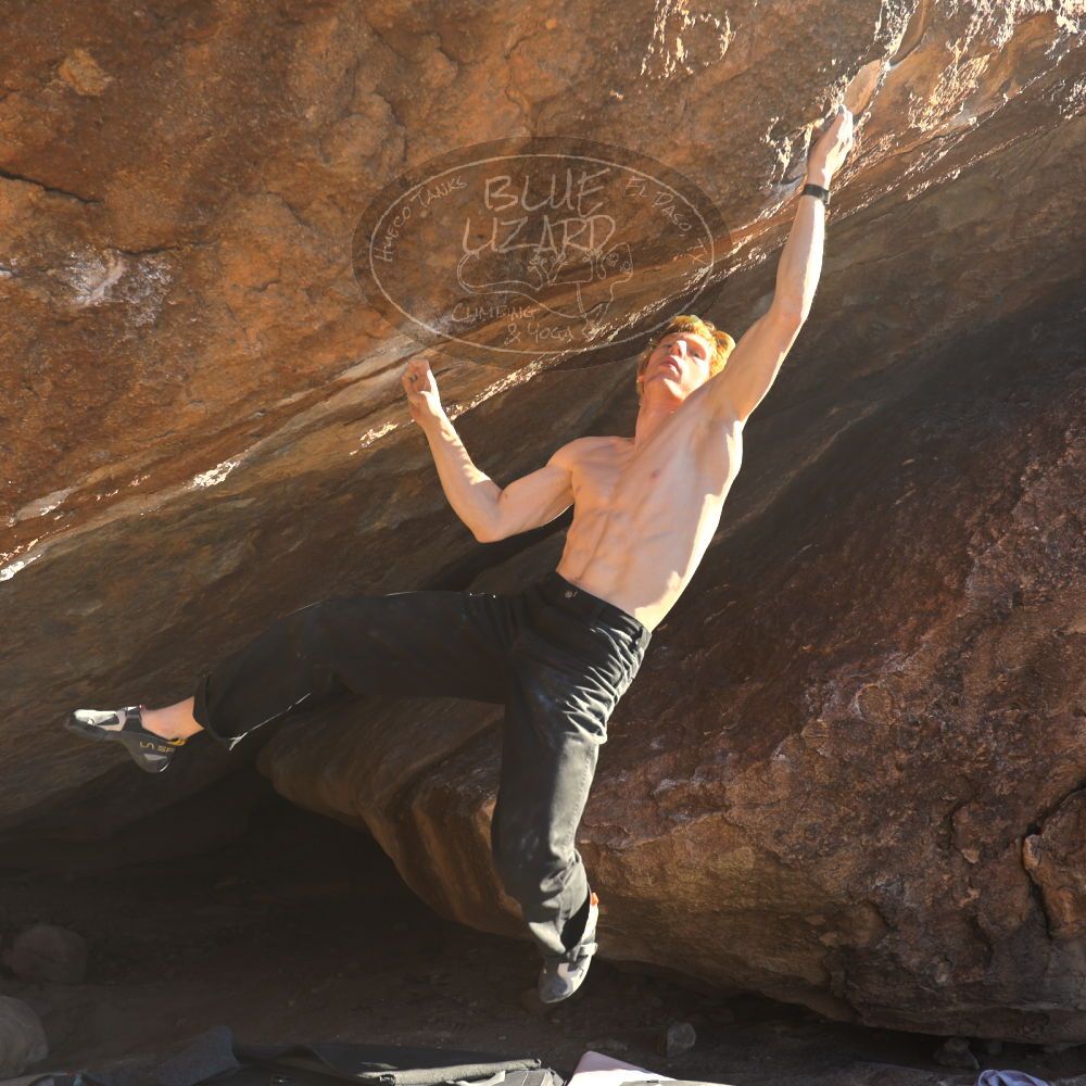 

Filename: SRM_20251124_1515461.jpg
Aperture: f/4.0
Shutter Speed: 1/500
Body: Canon EOS R6
Lens: Canon EF 16-35mm f/2.8 L