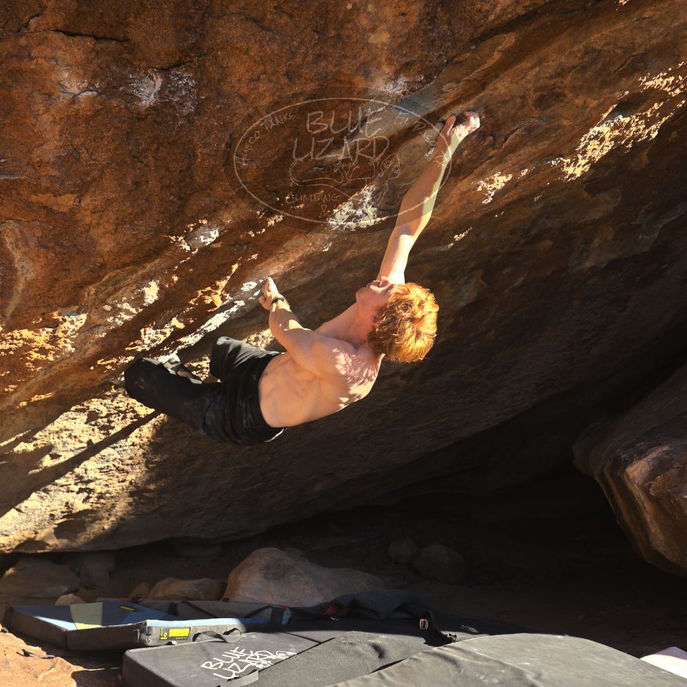 

Filename: SRM_20251124_1518450.jpg
Aperture: f/4.0
Shutter Speed: 1/500
Body: Canon EOS R6
Lens: Canon EF 16-35mm f/2.8 L