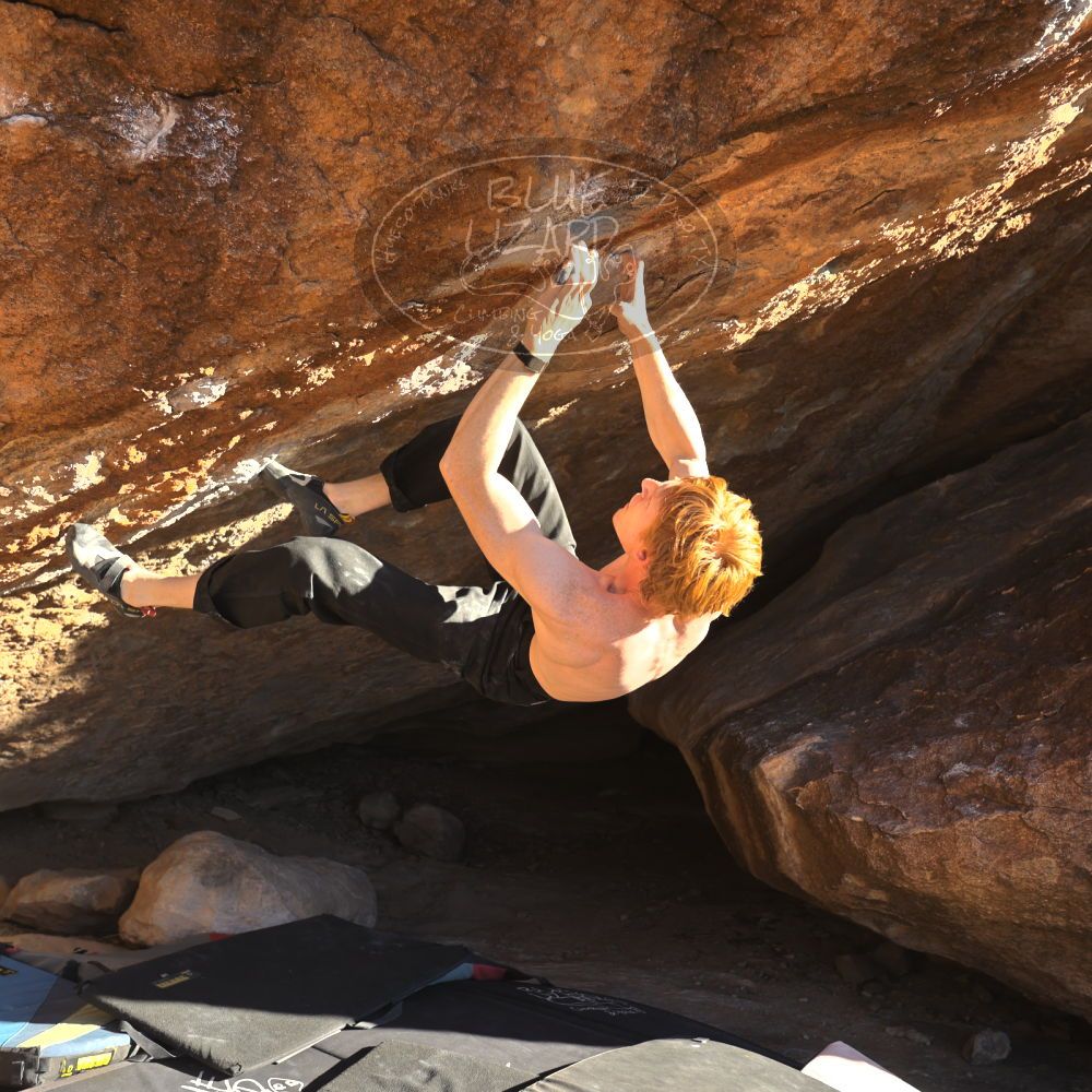 

Filename: SRM_20251124_1519510.jpg
Aperture: f/4.0
Shutter Speed: 1/500
Body: Canon EOS R6
Lens: Canon EF 16-35mm f/2.8 L