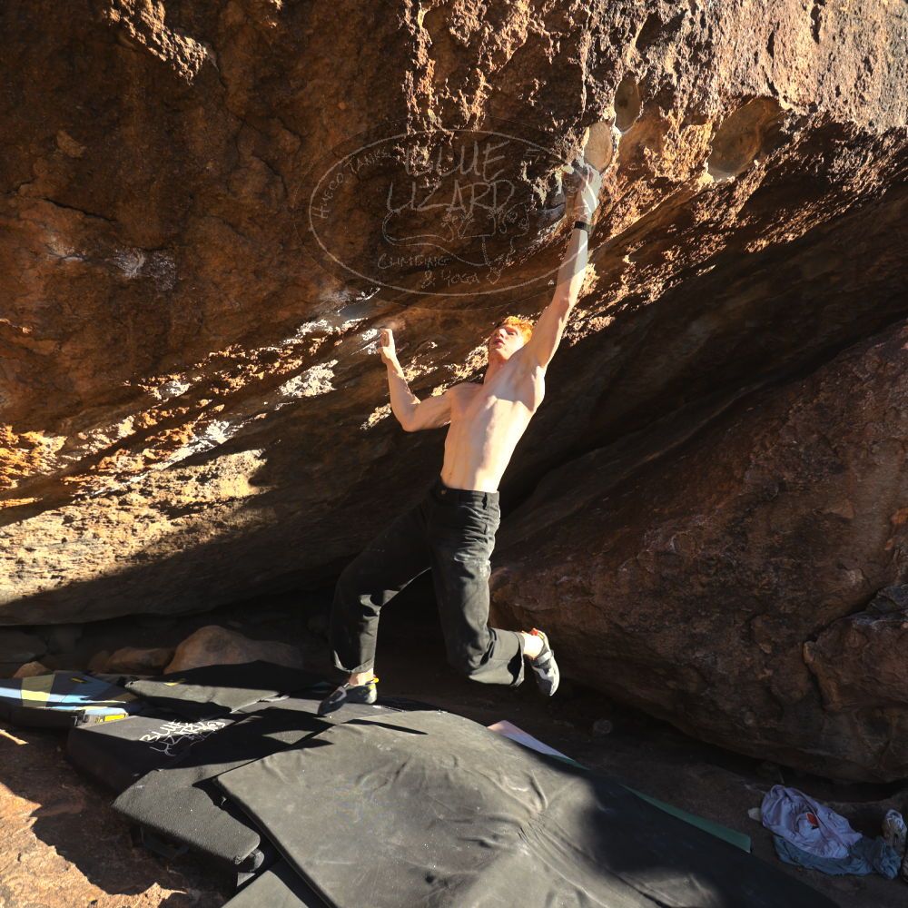 

Filename: SRM_20251124_1526563.jpg
Aperture: f/4.0
Shutter Speed: 1/500
Body: Canon EOS R6
Lens: Canon EF 16-35mm f/2.8 L