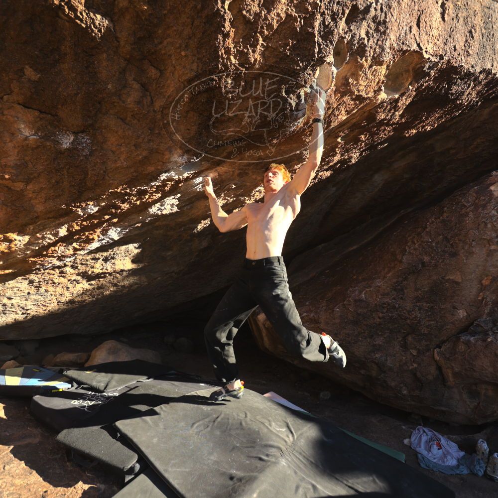 

Filename: SRM_20251124_1526570.jpg
Aperture: f/4.0
Shutter Speed: 1/500
Body: Canon EOS R6
Lens: Canon EF 16-35mm f/2.8 L