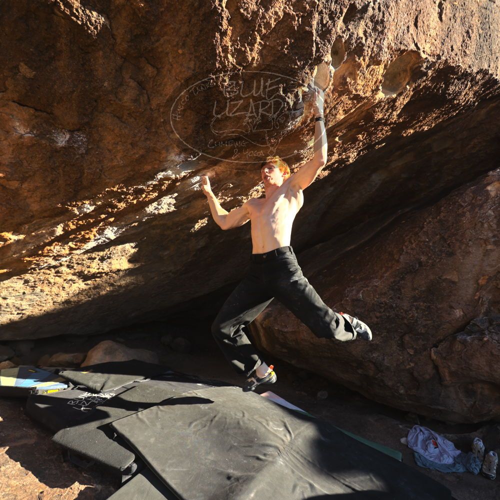 

Filename: SRM_20251124_1526571.jpg
Aperture: f/4.0
Shutter Speed: 1/500
Body: Canon EOS R6
Lens: Canon EF 16-35mm f/2.8 L