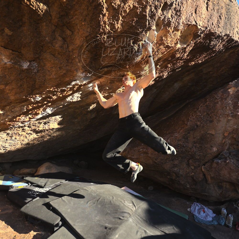 

Filename: SRM_20251124_1526572.jpg
Aperture: f/4.0
Shutter Speed: 1/500
Body: Canon EOS R6
Lens: Canon EF 16-35mm f/2.8 L