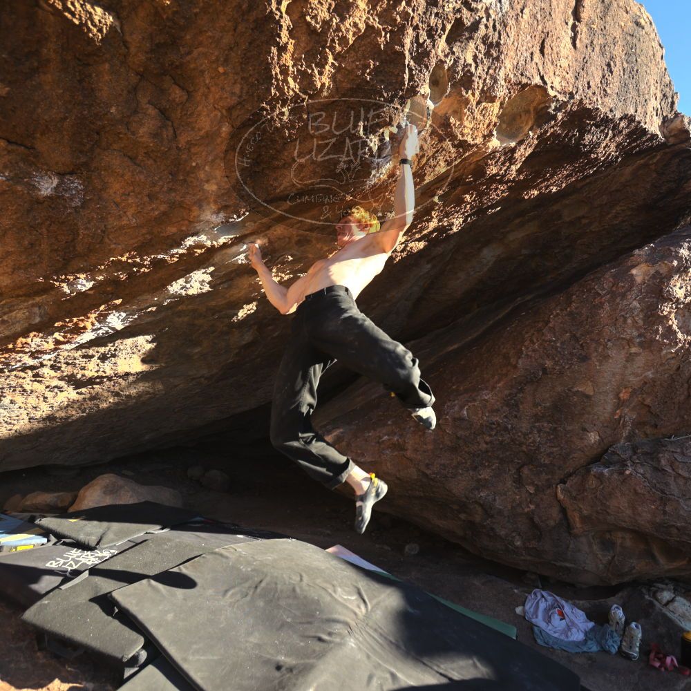 

Filename: SRM_20251124_1526575.jpg
Aperture: f/4.0
Shutter Speed: 1/500
Body: Canon EOS R6
Lens: Canon EF 16-35mm f/2.8 L