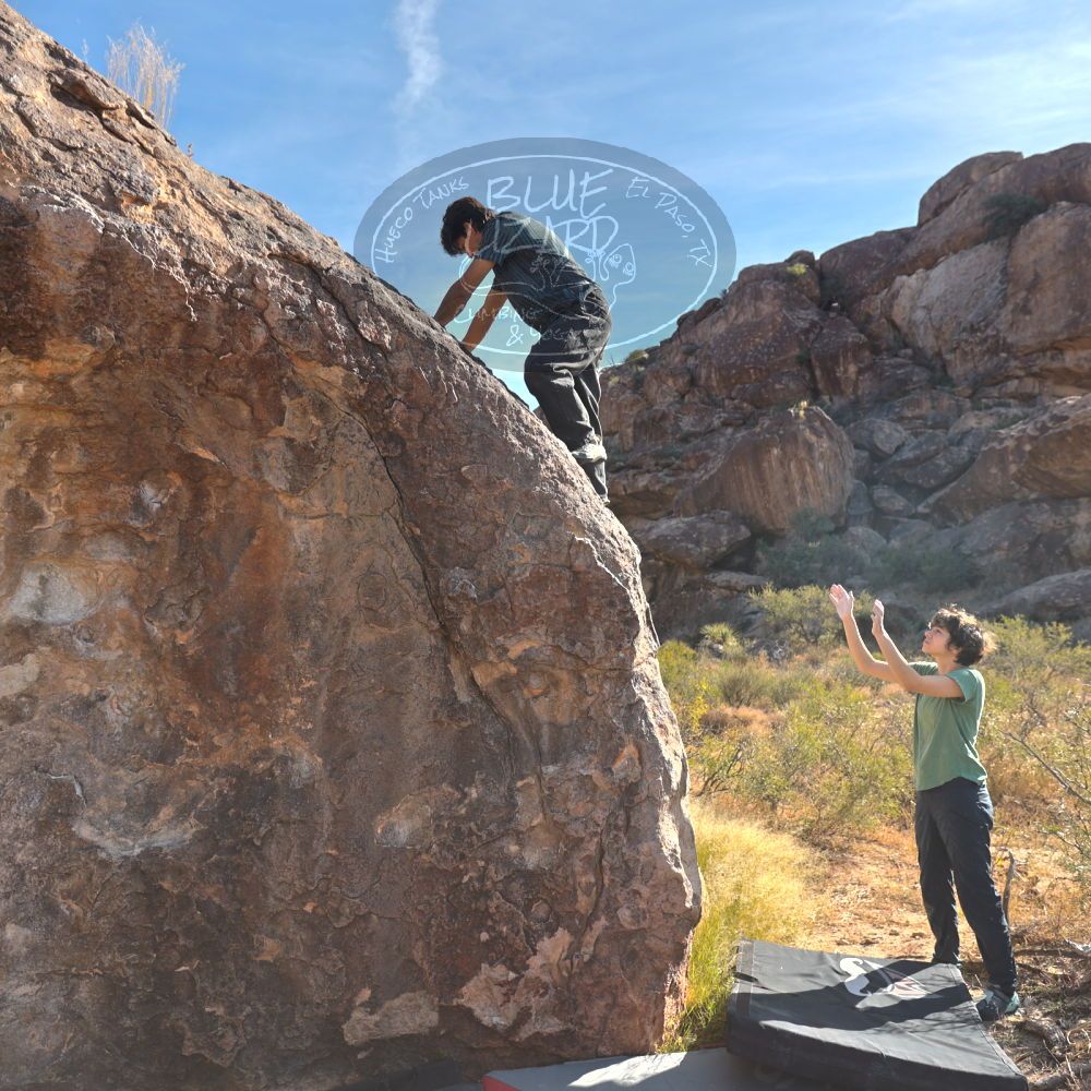 

Filename: SRM_20251126_1034580.jpg
Aperture: f/4.0
Shutter Speed: 1/500
Body: Canon EOS R6
Lens: Canon EF 16-35mm f/2.8 L