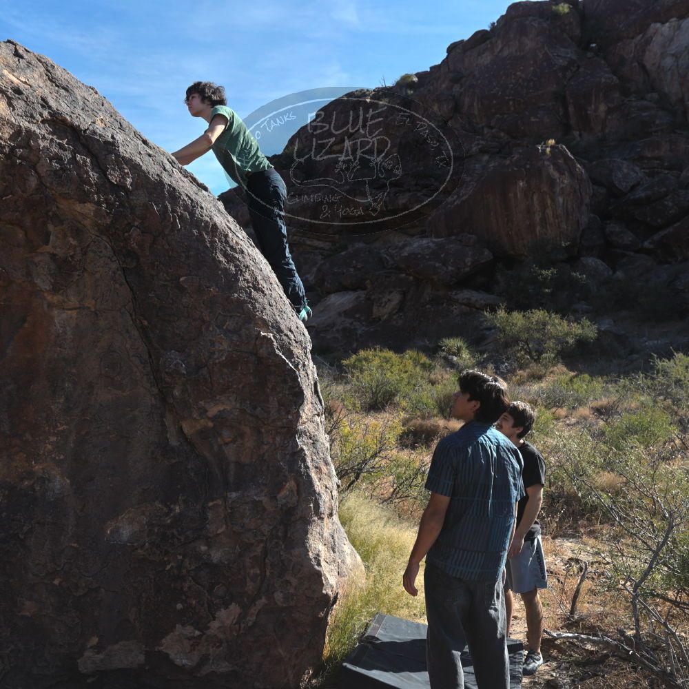 

Filename: SRM_20251126_1036270.jpg
Aperture: f/5.6
Shutter Speed: 1/1000
Body: Canon EOS R6
Lens: Canon EF 16-35mm f/2.8 L