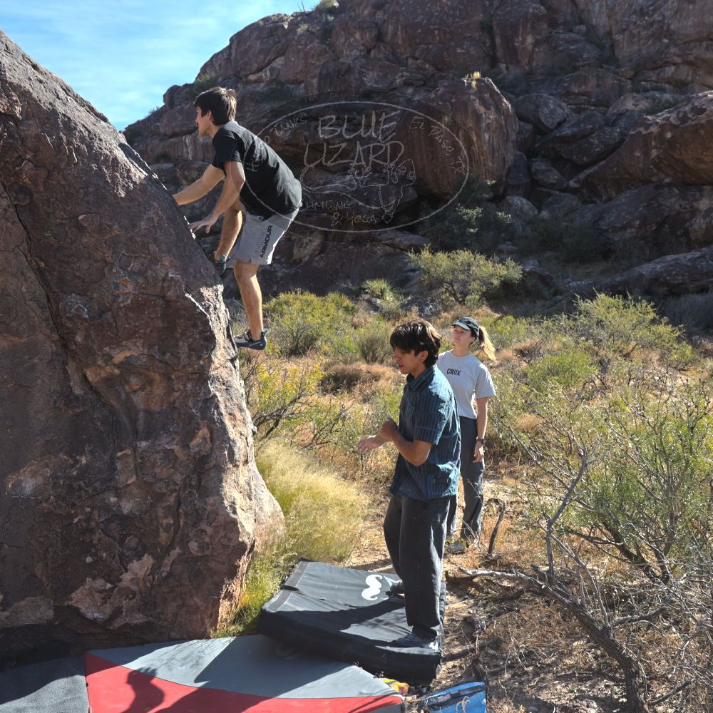 

Filename: SRM_20251126_1037120.jpg
Aperture: f/5.6
Shutter Speed: 1/1000
Body: Canon EOS R6
Lens: Canon EF 16-35mm f/2.8 L