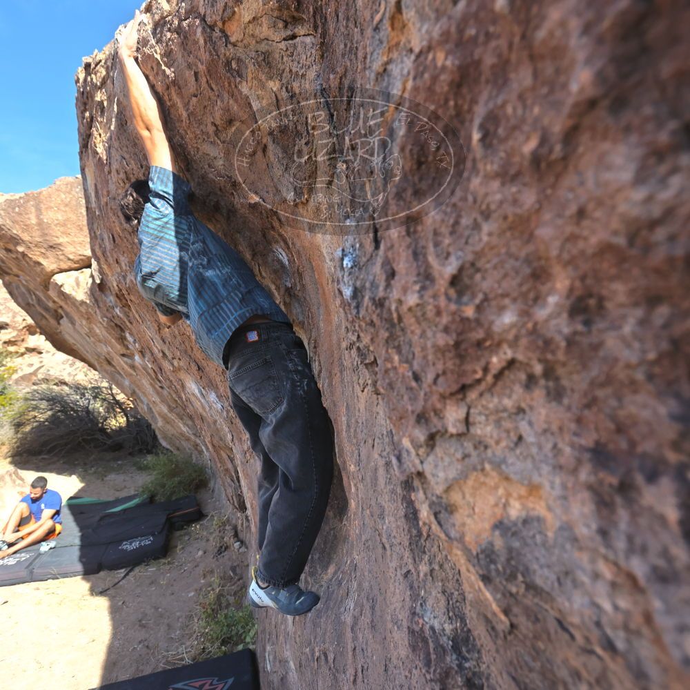 

Filename: SRM_20251126_1040260.jpg
Aperture: f/5.6
Shutter Speed: 1/1000
Body: Canon EOS R6
Lens: Canon EF 16-35mm f/2.8 L