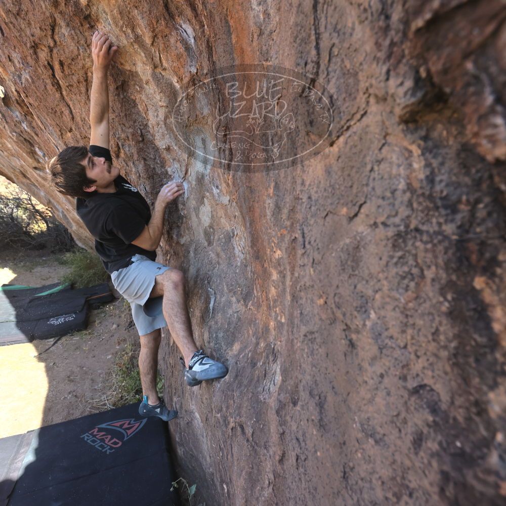 

Filename: SRM_20251126_1041280.jpg
Aperture: f/5.6
Shutter Speed: 1/1000
Body: Canon EOS R6
Lens: Canon EF 16-35mm f/2.8 L