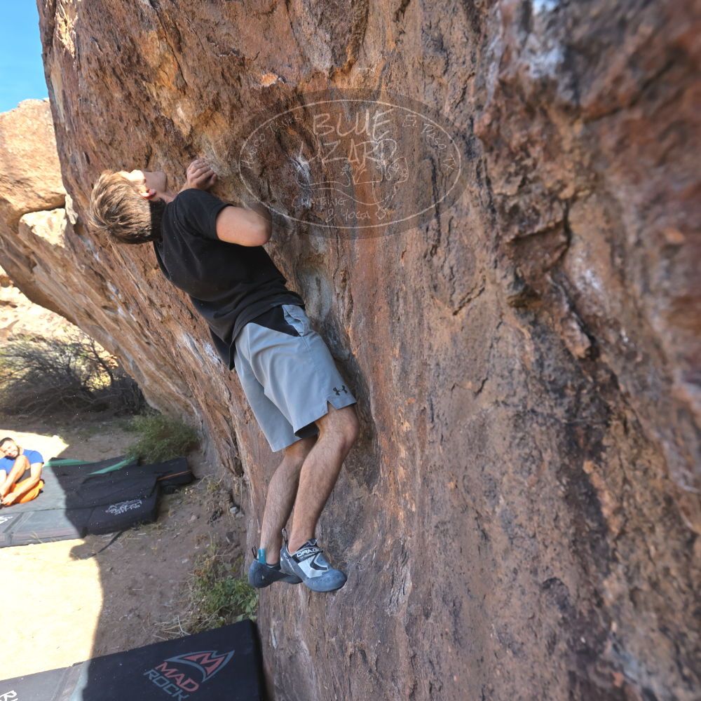 

Filename: SRM_20251126_1041290.jpg
Aperture: f/5.6
Shutter Speed: 1/1000
Body: Canon EOS R6
Lens: Canon EF 16-35mm f/2.8 L