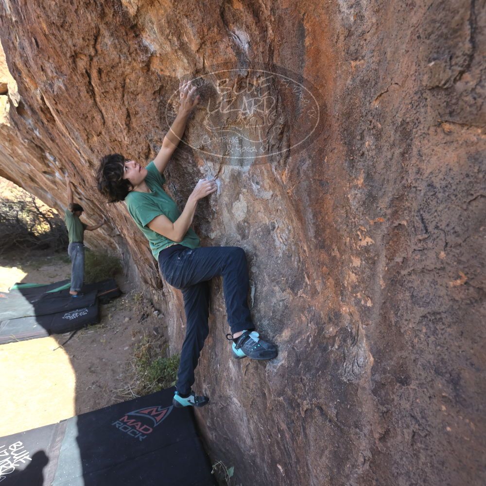 

Filename: SRM_20251126_1043310.jpg
Aperture: f/5.6
Shutter Speed: 1/1000
Body: Canon EOS R6
Lens: Canon EF 16-35mm f/2.8 L