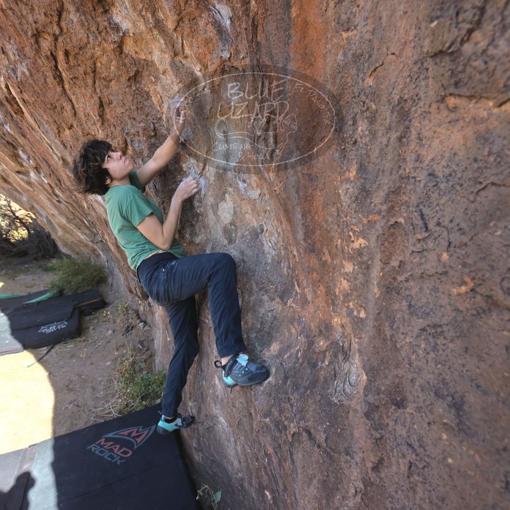 

Filename: SRM_20251126_1044510.jpg
Aperture: f/5.6
Shutter Speed: 1/1000
Body: Canon EOS R6
Lens: Canon EF 16-35mm f/2.8 L