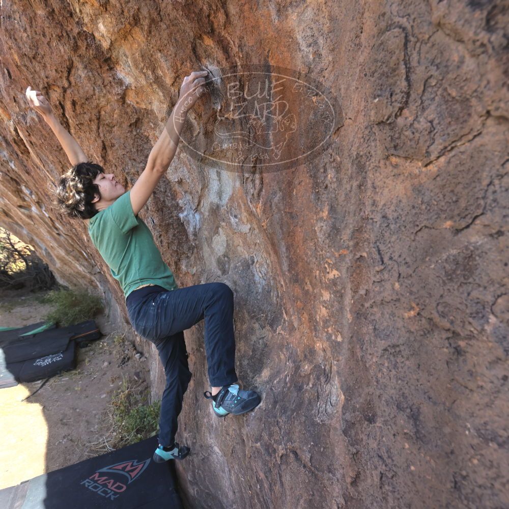 

Filename: SRM_20251126_1044520.jpg
Aperture: f/5.6
Shutter Speed: 1/1000
Body: Canon EOS R6
Lens: Canon EF 16-35mm f/2.8 L