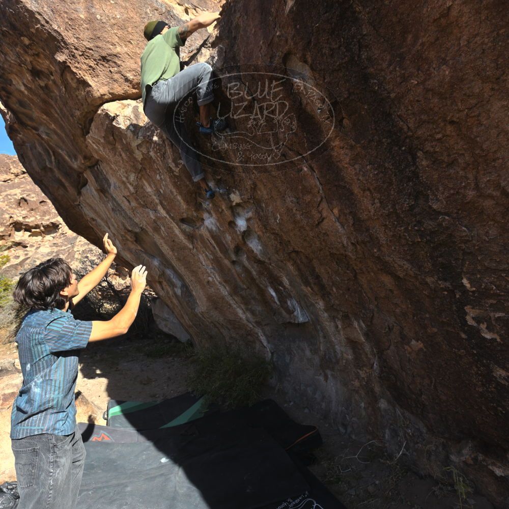 

Filename: SRM_20251126_1045460.jpg
Aperture: f/5.6
Shutter Speed: 1/1000
Body: Canon EOS R6
Lens: Canon EF 16-35mm f/2.8 L