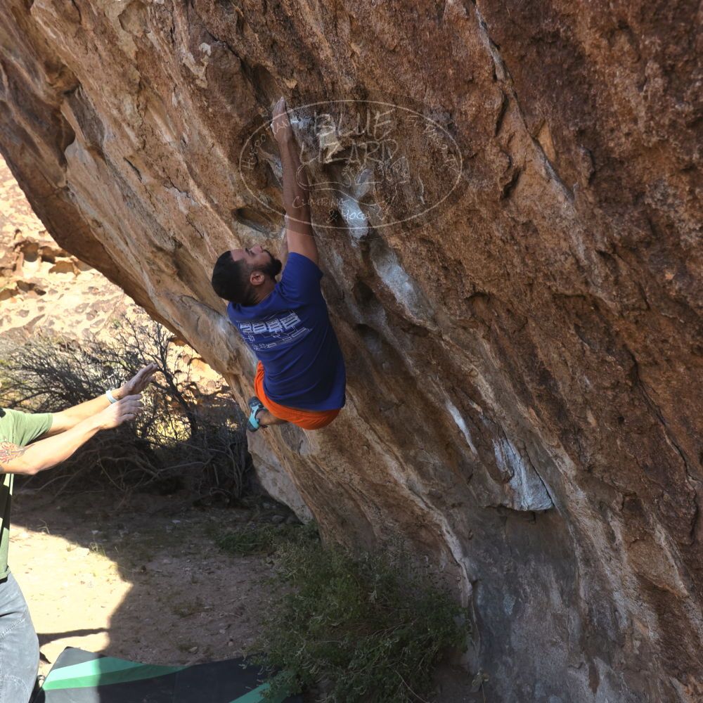 

Filename: SRM_20251126_1049550.jpg
Aperture: f/5.6
Shutter Speed: 1/1000
Body: Canon EOS R6
Lens: Canon EF 16-35mm f/2.8 L