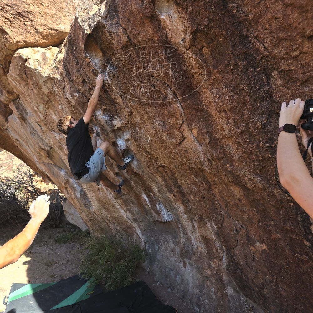 

Filename: SRM_20251126_1052510.jpg
Aperture: f/5.6
Shutter Speed: 1/1000
Body: Canon EOS R6
Lens: Canon EF 16-35mm f/2.8 L