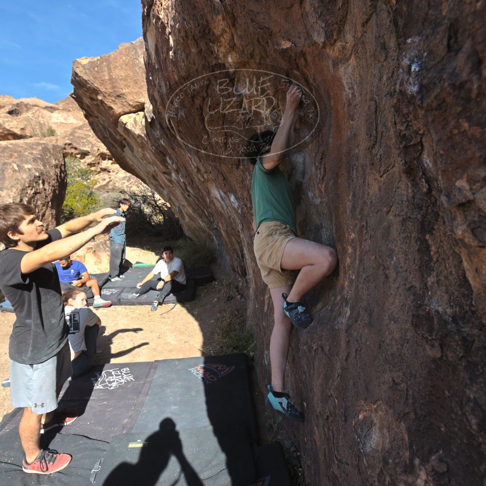 

Filename: SRM_20251126_1104170.jpg
Aperture: f/5.6
Shutter Speed: 1/1000
Body: Canon EOS R6
Lens: Canon EF 16-35mm f/2.8 L