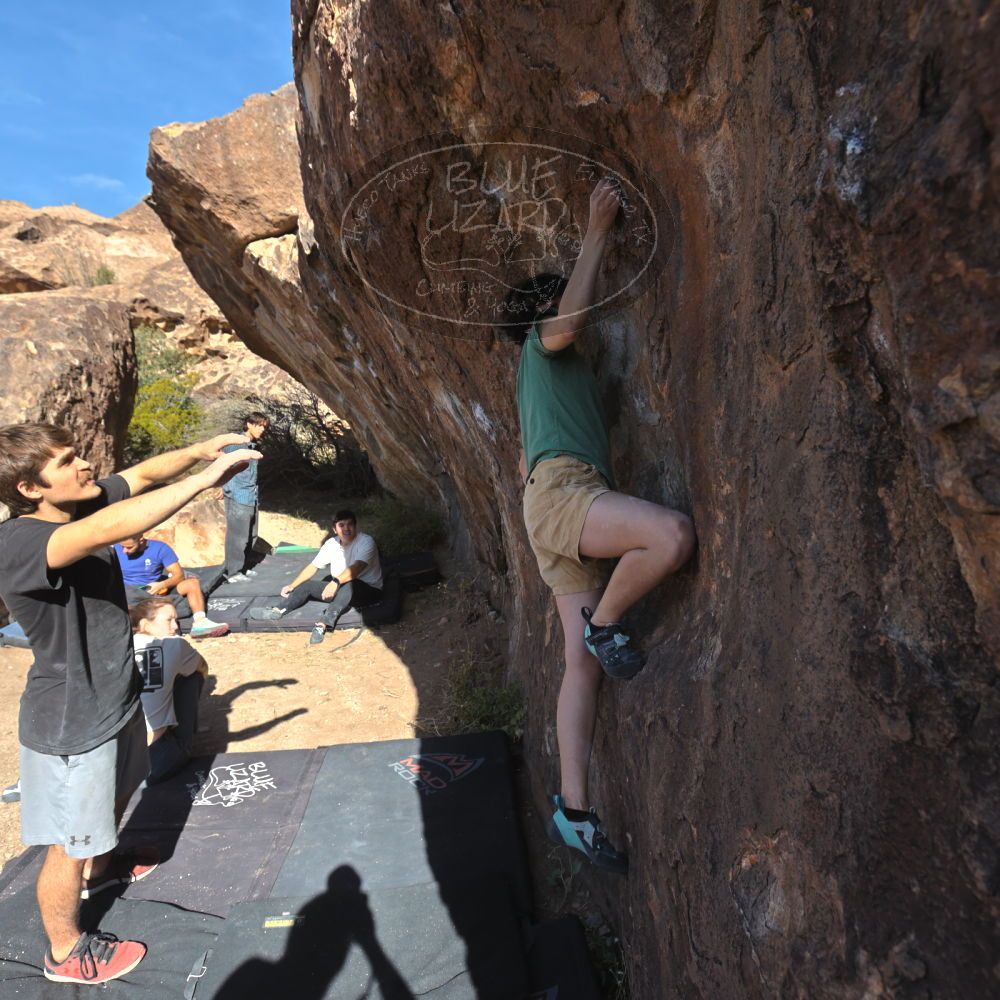 

Filename: SRM_20251126_1104171.jpg
Aperture: f/5.6
Shutter Speed: 1/1000
Body: Canon EOS R6
Lens: Canon EF 16-35mm f/2.8 L