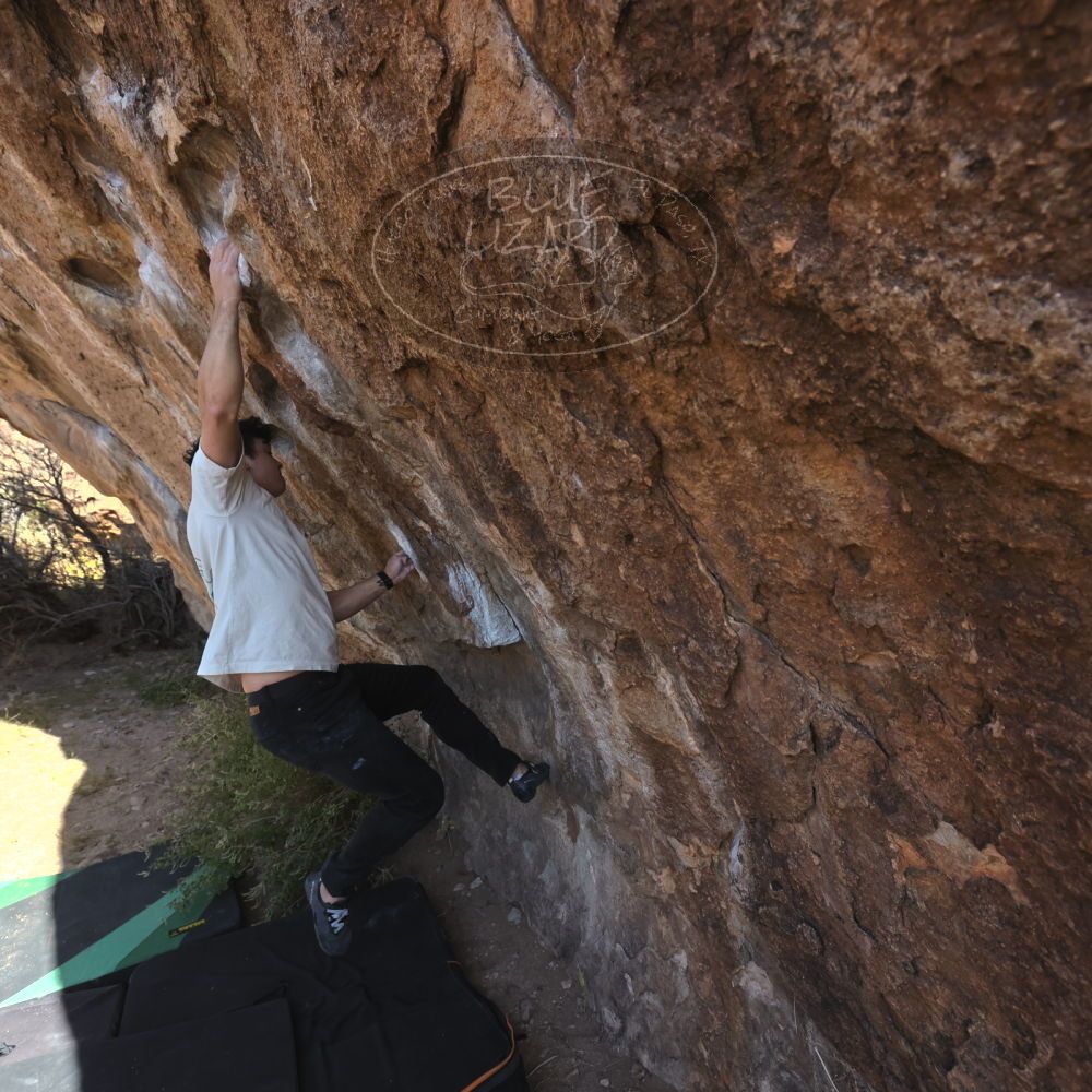 Filename: SRM_20251126_1106170.jpg
Aperture: f/5.6
Shutter Speed: 1/1000
Body: Canon EOS R6
Lens: Canon EF 16-35mm f/2.8 L