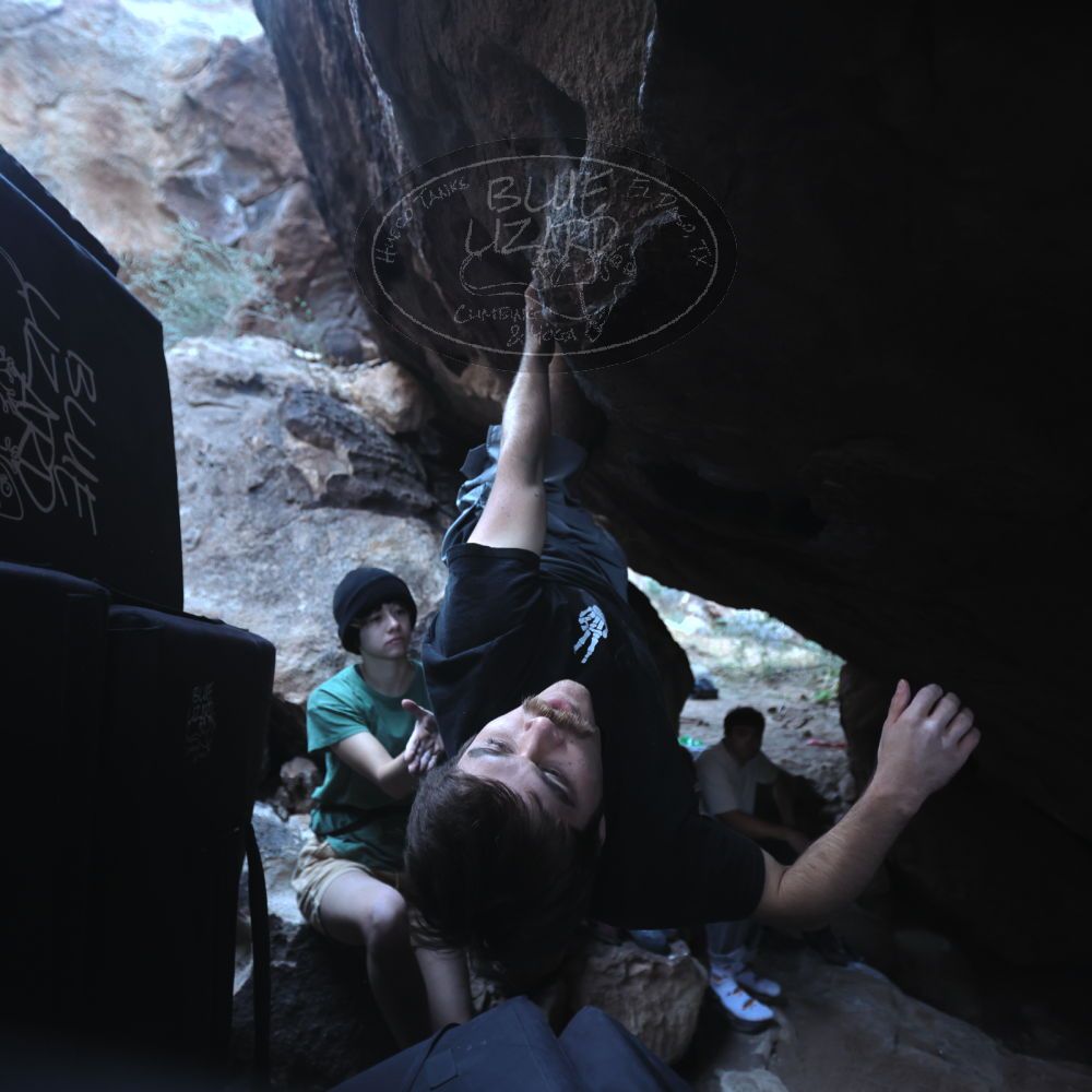 

Filename: SRM_20251126_1206020.jpg
Aperture: f/2.8
Shutter Speed: 1/400
Body: Canon EOS R6
Lens: Canon EF 16-35mm f/2.8 L