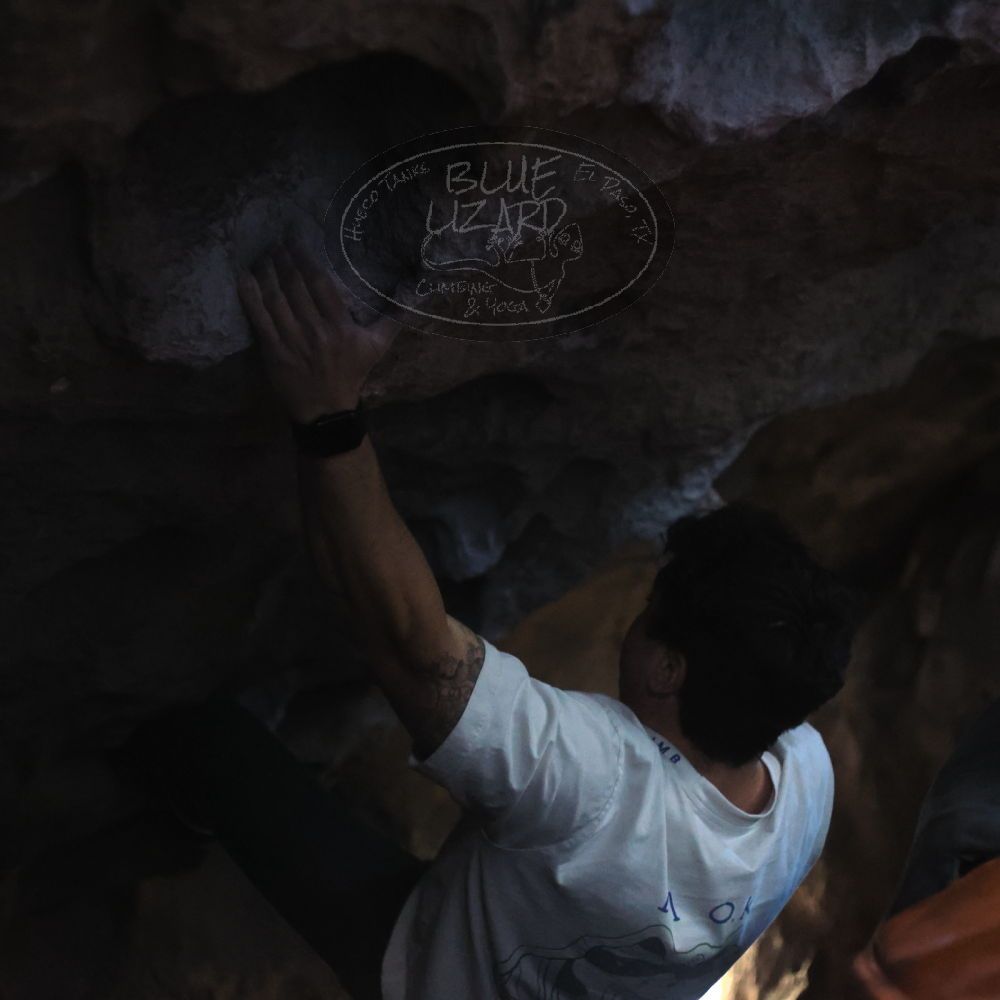 Filename: SRM_20251126_1302580.jpg
Aperture: f/2.2
Shutter Speed: 1/320
Body: Canon EOS R6
Lens: Canon EF 50mm f/1.8 II