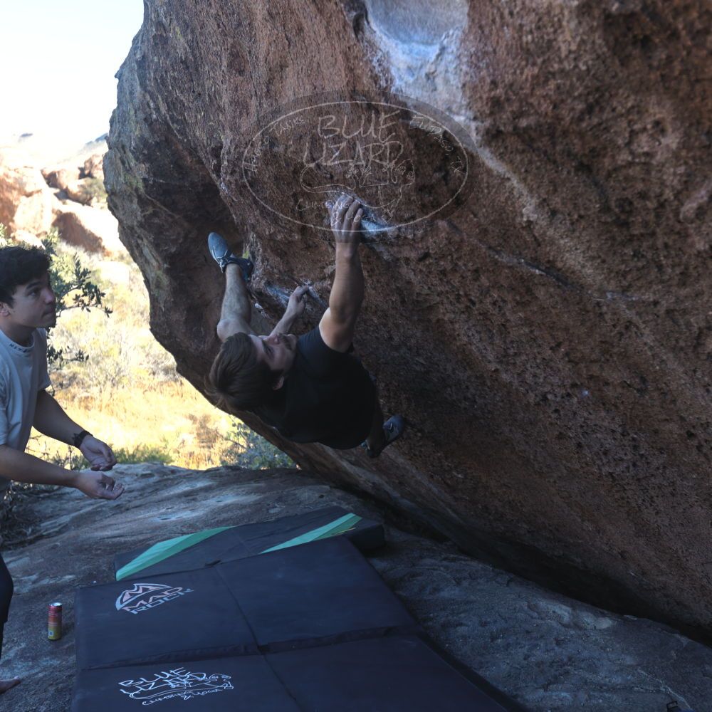 

Filename: SRM_20251126_1417240.jpg
Aperture: f/4.0
Shutter Speed: 1/320
Body: Canon EOS R6
Lens: Canon EF 16-35mm f/2.8 L