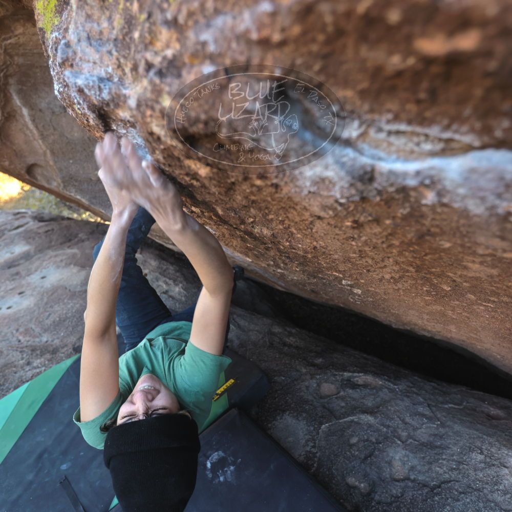 

Filename: SRM_20251126_1436530.jpg
Aperture: f/3.5
Shutter Speed: 1/320
Body: Canon EOS R6
Lens: Canon EF 16-35mm f/2.8 L