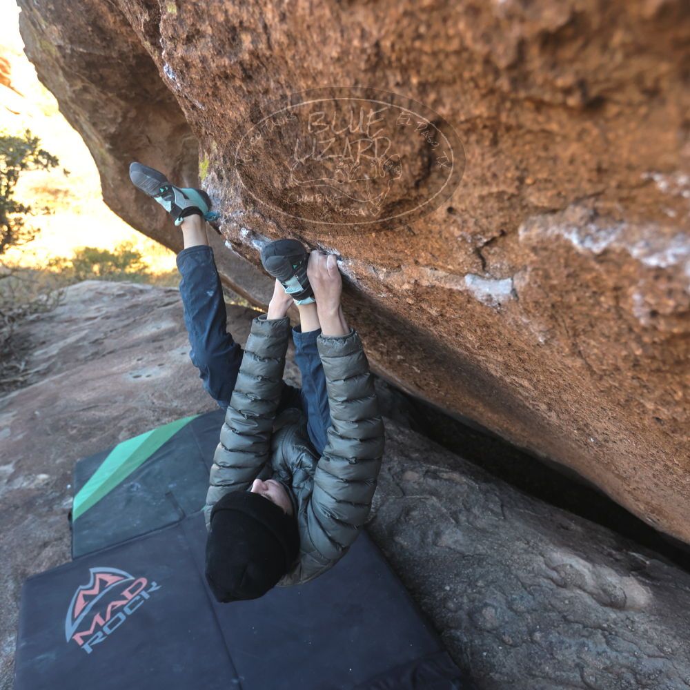 

Filename: SRM_20251126_1438420.jpg
Aperture: f/4.0
Shutter Speed: 1/400
Body: Canon EOS R6
Lens: Canon EF 16-35mm f/2.8 L