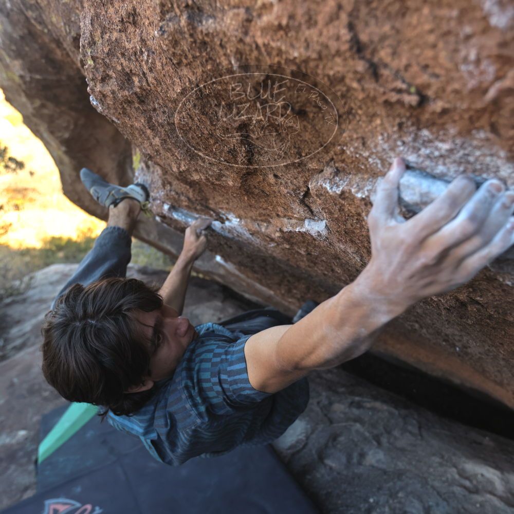 Filename: SRM_20251126_1500122.jpg
Aperture: f/4.0
Shutter Speed: 1/400
Body: Canon EOS R6
Lens: Canon EF 16-35mm f/2.8 L