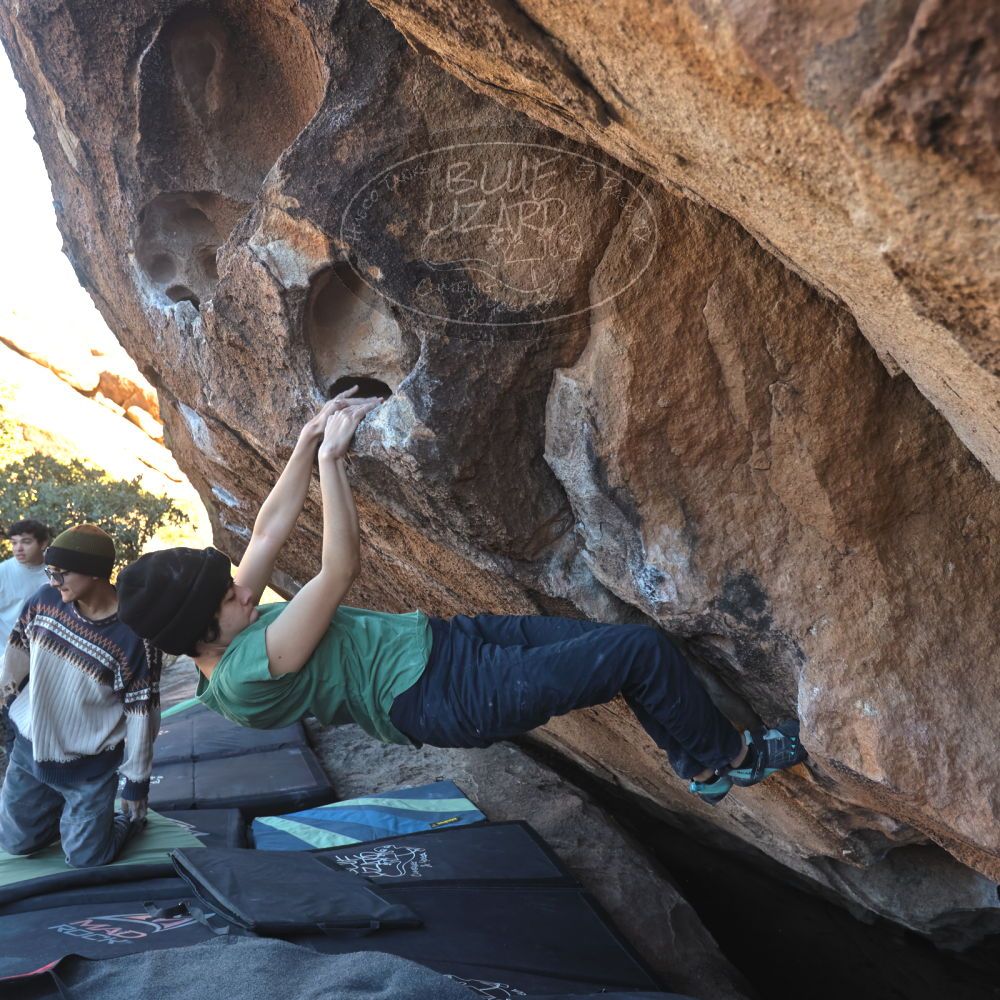 

Filename: SRM_20251126_1505400.jpg
Aperture: f/4.0
Shutter Speed: 1/400
Body: Canon EOS R6
Lens: Canon EF 16-35mm f/2.8 L